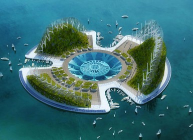 Lilypad