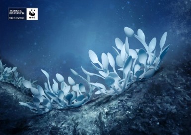 Рекламная компания WWF по охране морей и океанов