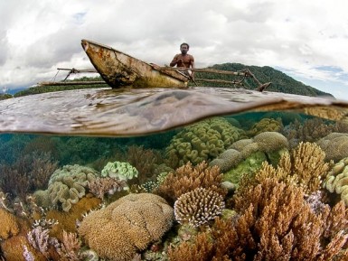 Коралловый риф в индонезийском архипелаге Раджа-Ампат (фото Sterling Zumbrunn / Conservation International).