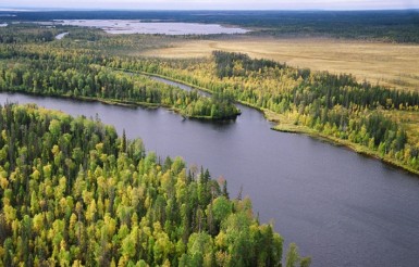 Вода и лес